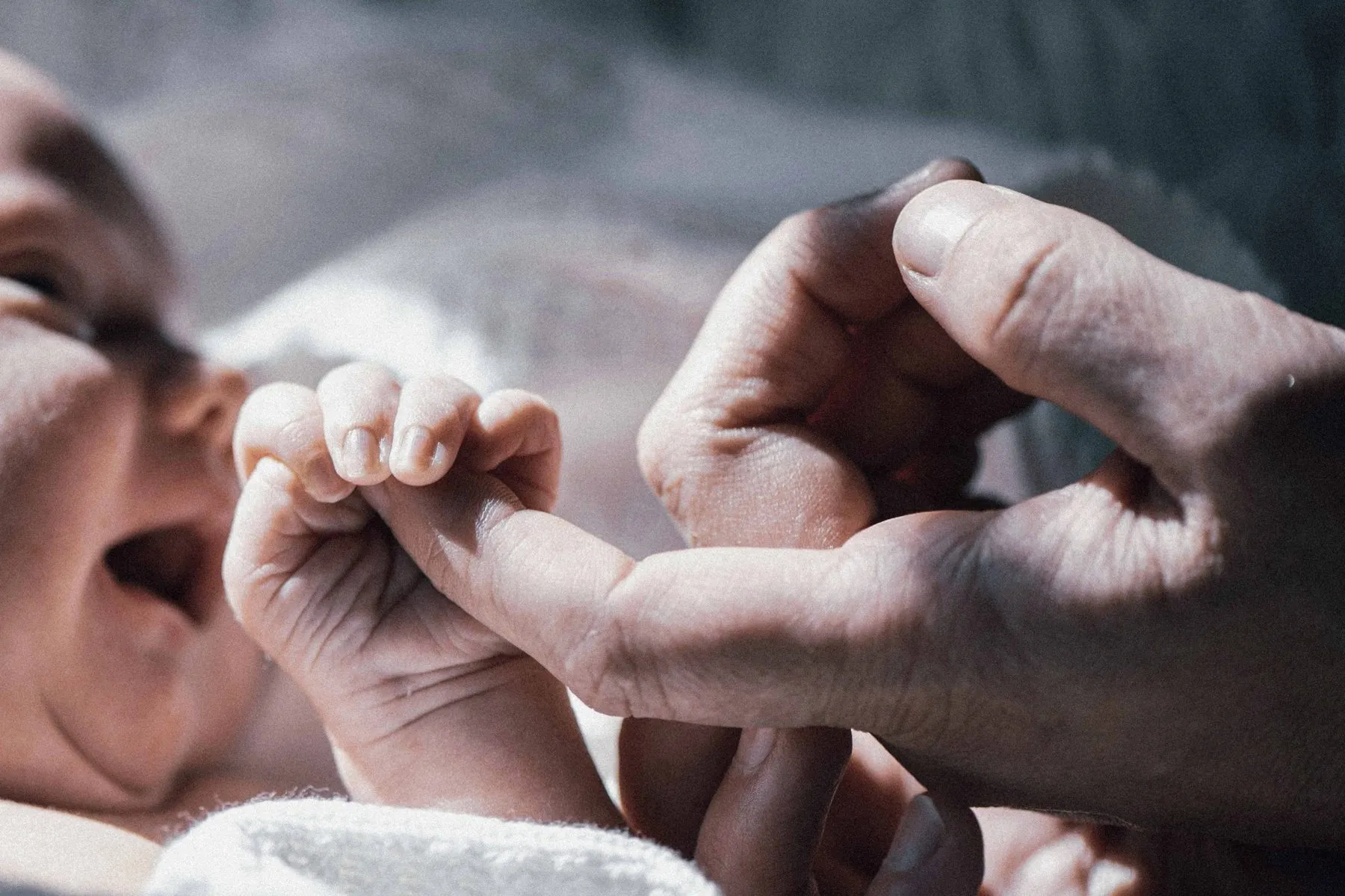 Babyhand hält den Finger eines Erwachsenen